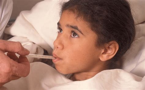 fever facts high temperature   treatments
