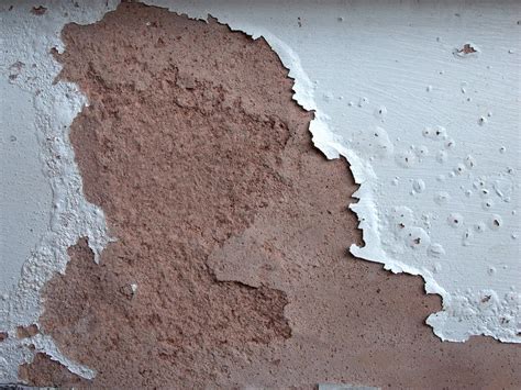 damp patch texture  rosebud  deviantart