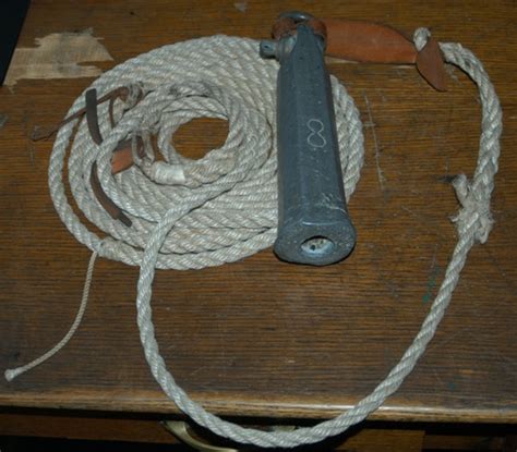 dictionary  ichthyology