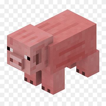 Hewan png | PNGWing
