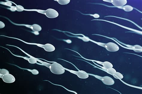 Experts in the field answer 4 questions men have regarding sperm health ... 
