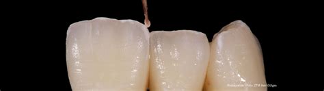 home shopjensendentalde