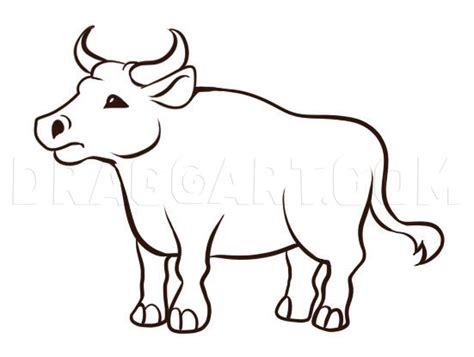 draw  ox drawing step  step  dawn dragoart