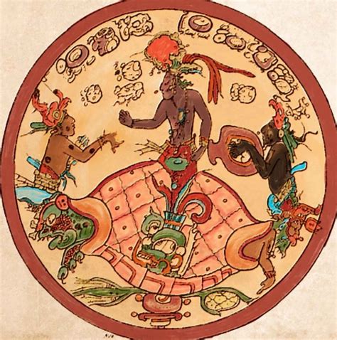 La tortuga marina un símbolo de poder Maya - MCV Noticias