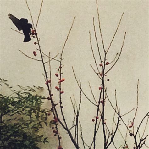 Chiara Mazzola (chiaramazzola) profile | Padlet