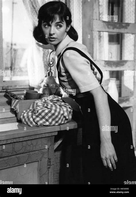 Millie perkins hi-res stock photography and images - Alamy