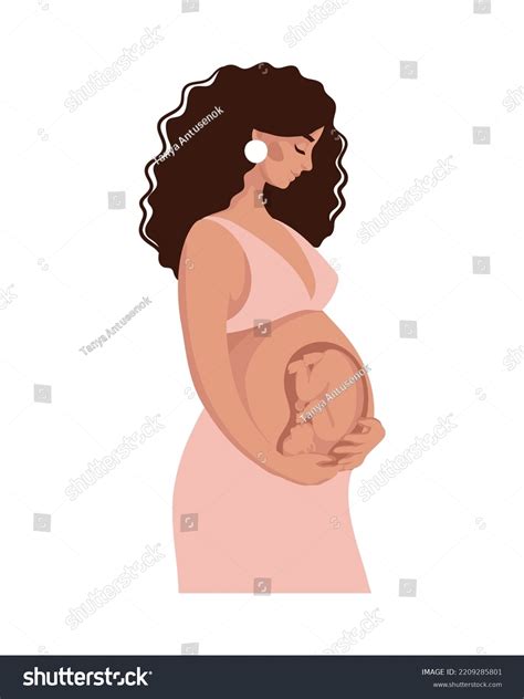 Pregnant Woman Baby Uterus Anatomy Pregnancy Stock Vector (Royalty Free ...