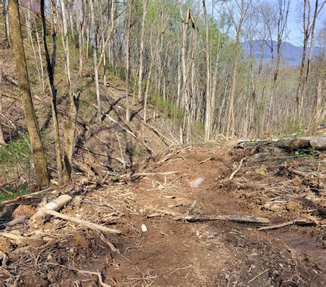 Forestry Best Management Practices: Skid Trails - Alabama Cooperative