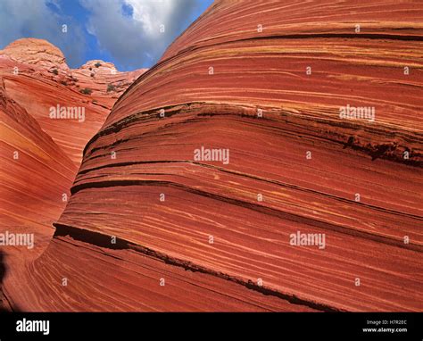 detail   wave  navajo sandstone formation  paria canyon