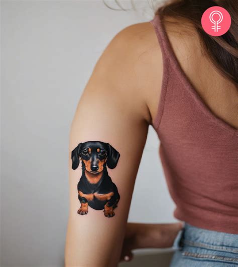 8 Unique Dachshund Tattoo Designs & Ideas