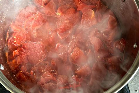 homemade tomato paste  fresh tomatoes