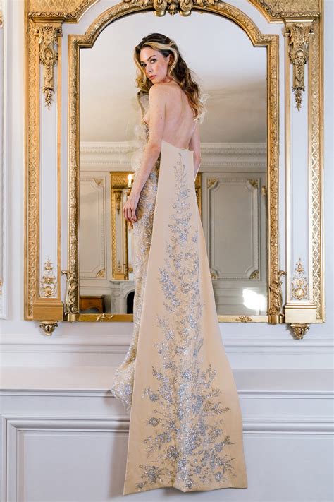 Dentelles Embroidered Mermaid Dress – Gattinolli by Marwan