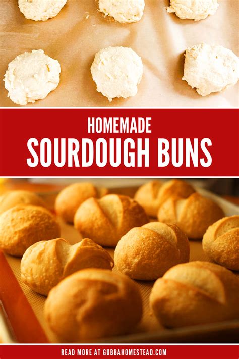 Homemade Sourdough Buns - Gubba Homestead