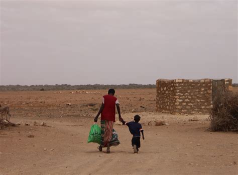 Diddy's Somali Connection: Experts Uncover A Hidden History Image 19