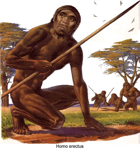 Profissao Mais Antiga Do Mundo - 10