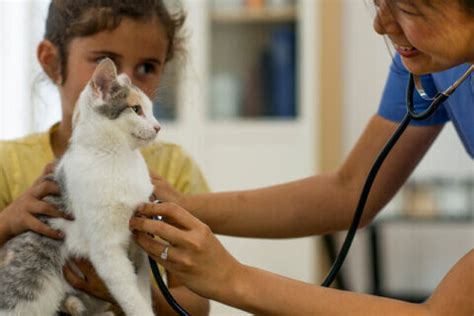 veterinary practice    level vetsource