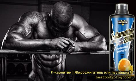 Л-карнитин | Жиросжигатель или пустышка? | bestbodyblog.com