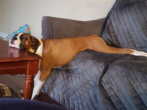 This review explains why Richard's Bar is a local favorite spot 24