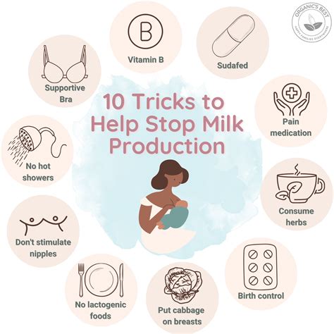 What Can Stop Breast Development at Chloe Maygar blog