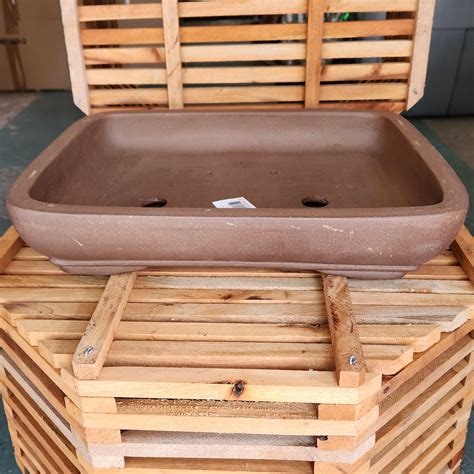 BONSAI 1- 16.5" x 13.5" x 3" - Green Barn Orchid and Aroid Supplies