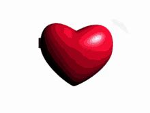 Java GIF - Java - Discover & Share GIFs