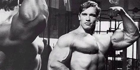 strength standards  strong   fitness volt