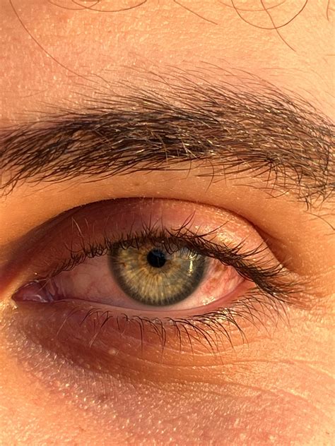 Human Back Anatomy Photos, Download The BEST Free Human Back Anatomy