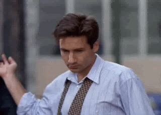 Agent Mulder Quotes. QuotesGram