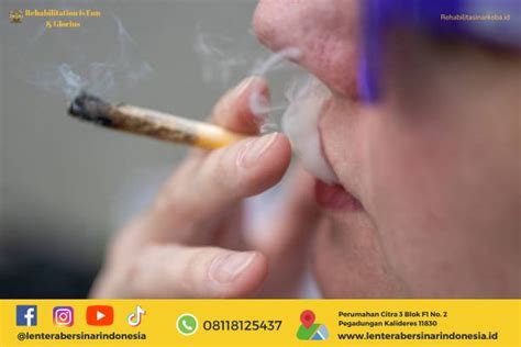nikotin pengertian manfaat hingga kadar kandungannya  rokok
