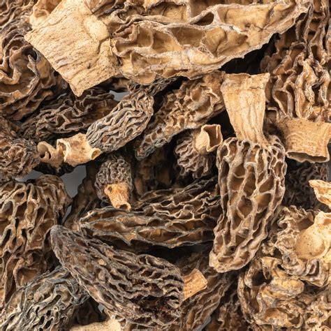 Buy Dried Morel Mushrooms Online - Wild Morchella Mushrooms For Sale