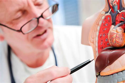 Liver Disease: Habits that Hurt Your Liver Function | The Healthy