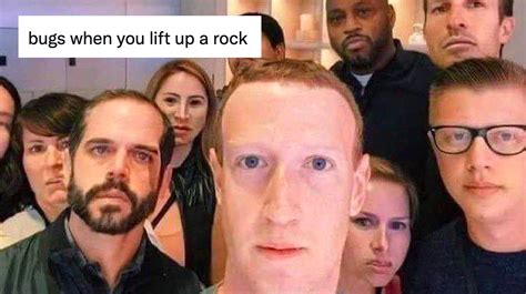 Bugs When You Lift Up A Rock | Know Your Meme