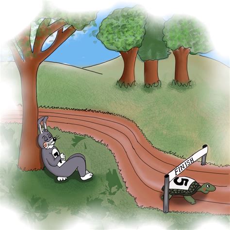 hair and the tortoise story 5