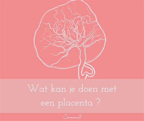 Wat kan je doen met een placenta?