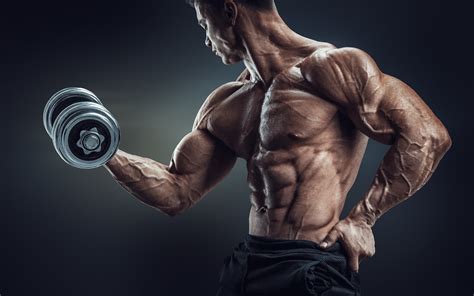 hd bodybuilding backgrounds pixelstalknet