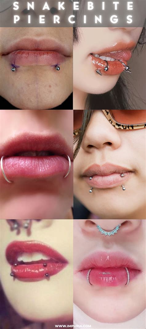 snake bite piercing  complete guide