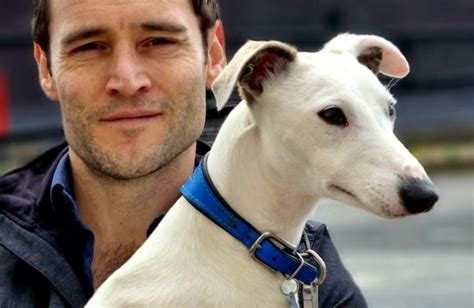 Dr Luke Evans MP Backs New Plans to Tackle Puppy Smuggling | Dr Luke ...