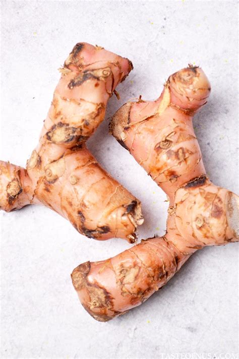 Galangal - Taste of Nusa - tasteofnusa.com