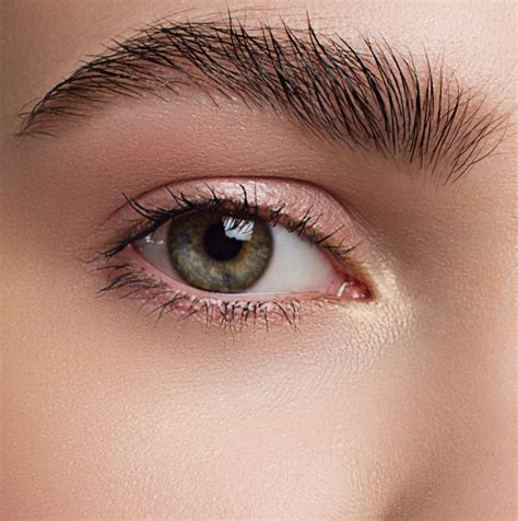 brow makeovers brighton  south yarra ardour brows  lashes