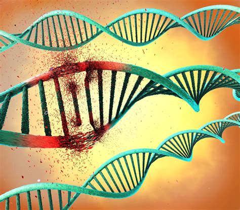 hereditary  acquired gene mutations  cancer