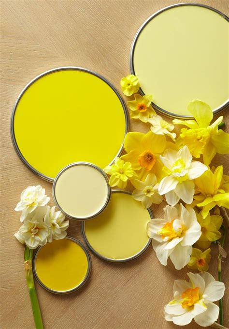 yellow paint colors interior designers love