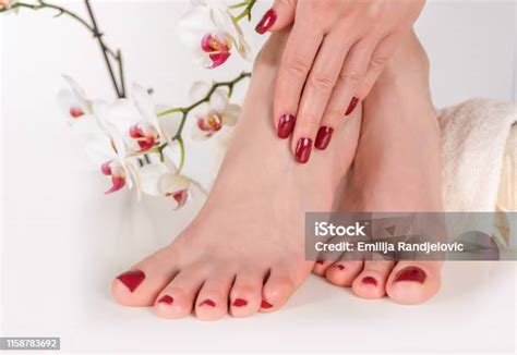 kaki wanita muda  pedikur warna anggur  tangan  kaki