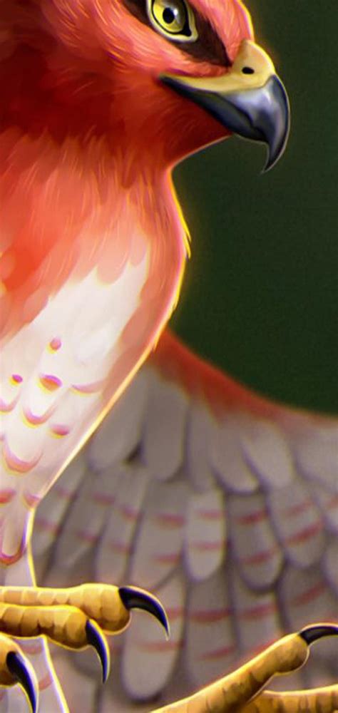 saker rnotewallpapers