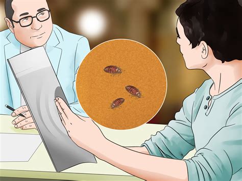 How Do I Report Bed Bugs In A Hotel - Hotel Gue