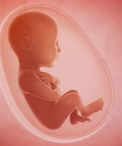 Reproductive Medicine | Yenepoya Medical College Hospital