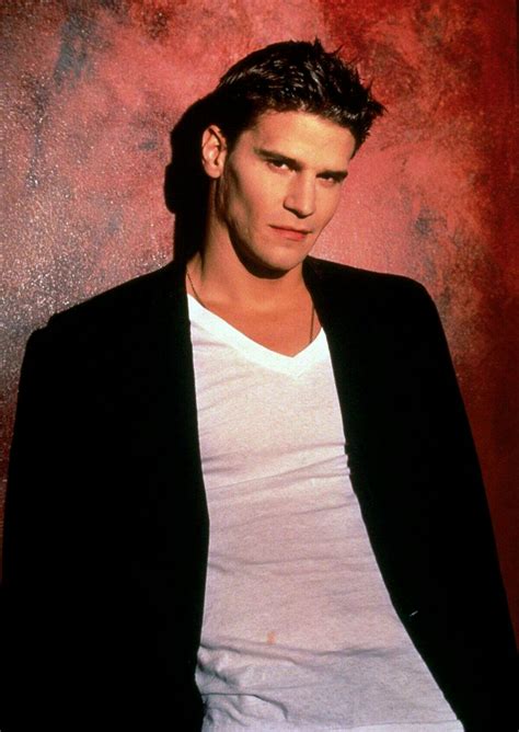 actor david boreanaz 3