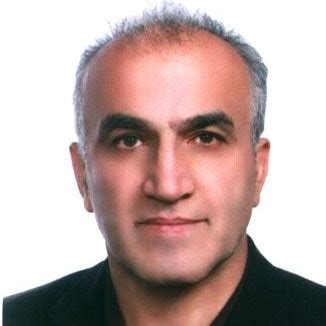 malek mohammad zarei iran professional profile linkedin