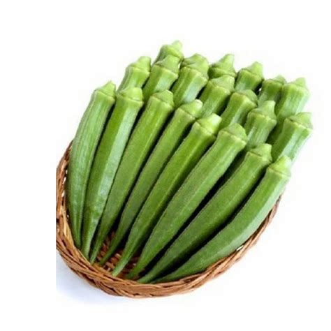 green  grade fresh lady finger loose  kg  ghaziabad id