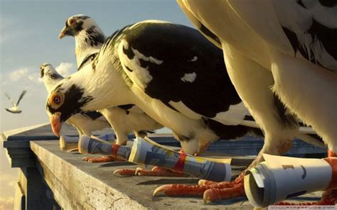 pigeon Wallpapers HD / Desktop and Mobile Backgrounds