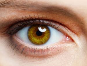 Top 5 Interesting Facts About Your Eyes | Stahl